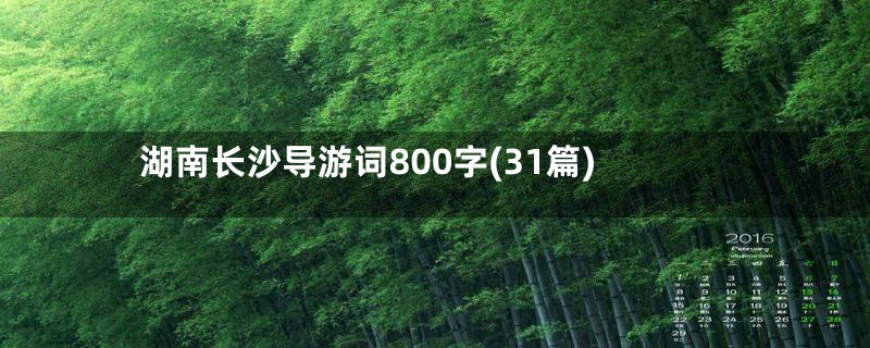 湖南长沙导游词800字(31篇)