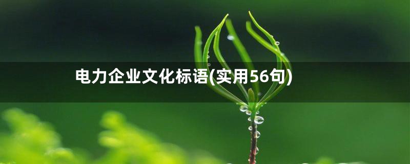 电力企业文化标语(实用56句)