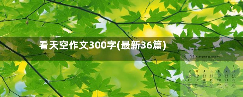 看天空作文300字(最新36篇)