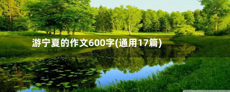 游宁夏的作文600字(通用17篇)