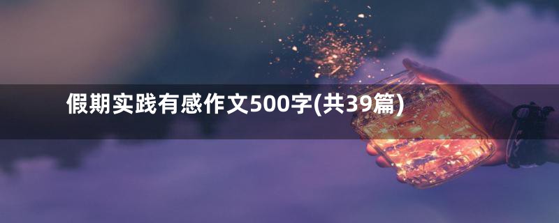 假期实践有感作文500字(共39篇)