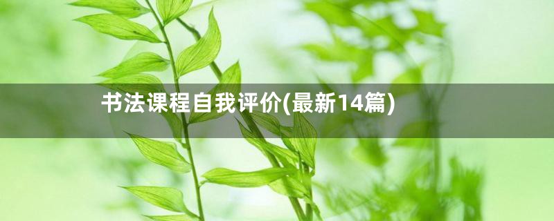 书法课程自我评价(最新14篇)