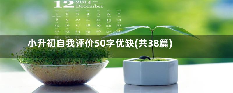 小升初自我评价50字优缺(共38篇)