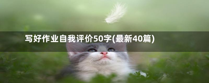 写好作业自我评价50字(最新40篇)