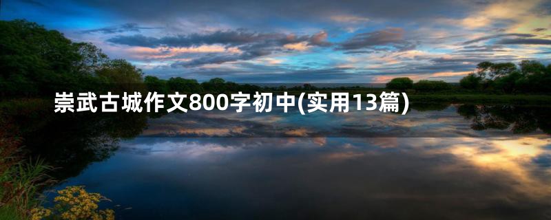 崇武古城作文800字初中(实用13篇)