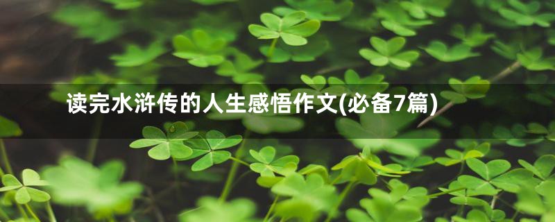 读完水浒传的人生感悟作文(必备7篇)