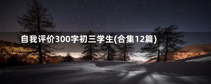 自我评价300字初三学生(合集12篇)