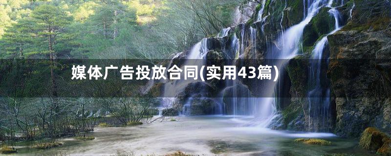 媒体广告投放合同(实用43篇)