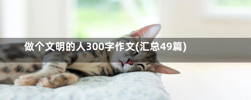 做个文明的人300字作文(汇总49篇)