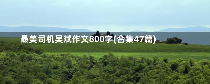 最美司机吴斌作文800字(合集47篇)