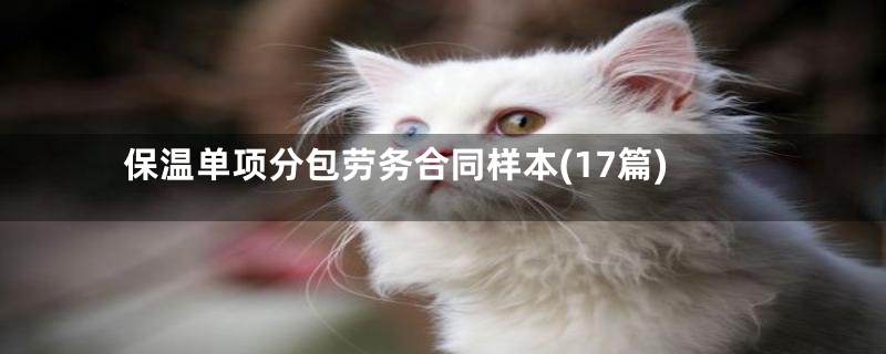 保温单项分包劳务合同样本(17篇)