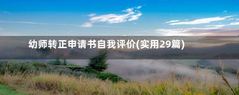 幼师转正申请书自我评价(实用29篇)