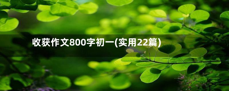 收获作文800字初一(实用22篇)