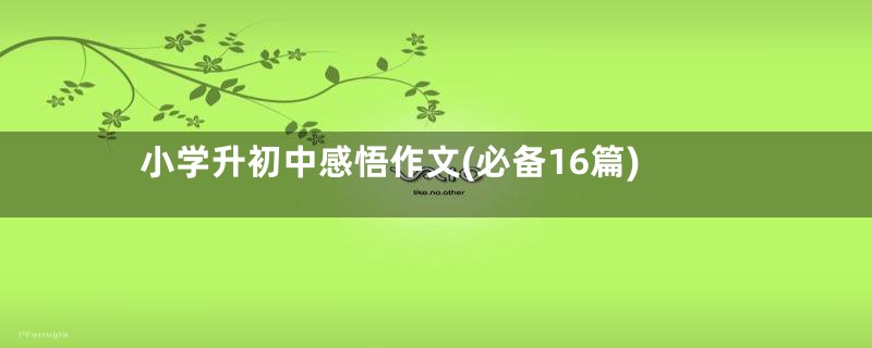 小学升初中感悟作文(必备16篇)