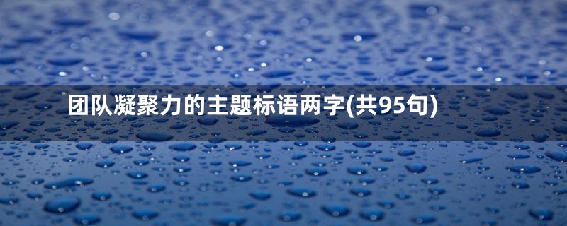 团队凝聚力的主题标语两字(共95句)