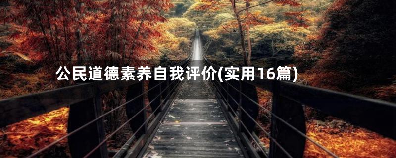 公民道德素养自我评价(实用16篇)