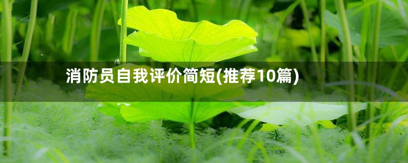 消防员自我评价简短(推荐10篇)