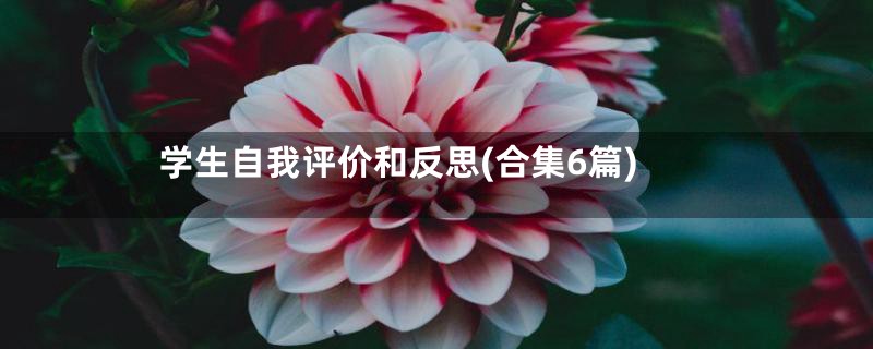 学生自我评价和反思(合集6篇)