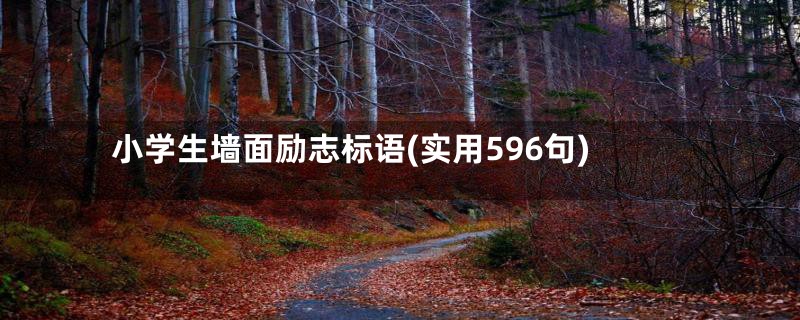 小学生墙面励志标语(实用596句)