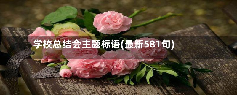 学校总结会主题标语(最新581句)