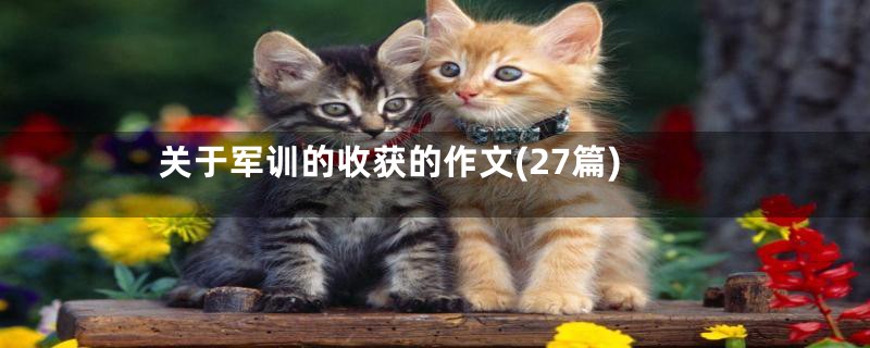 关于军训的收获的作文(27篇)