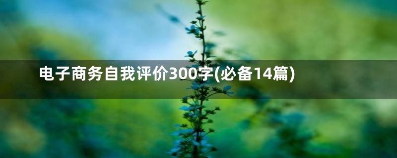 电子商务自我评价300字(必备14篇)