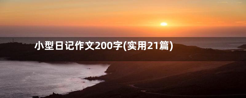 小型日记作文200字(实用21篇)