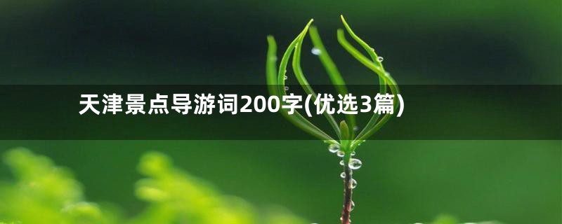 天津景点导游词200字(优选3篇)