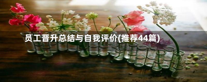 员工晋升总结与自我评价(推荐44篇)