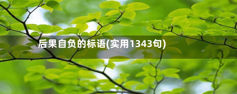 后果自负的标语(实用1343句)