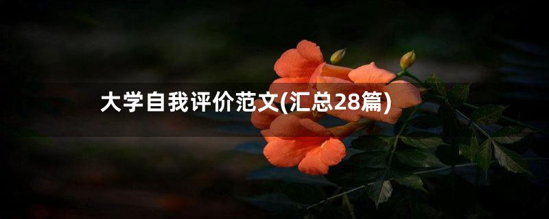 大学自我评价范文(汇总28篇)