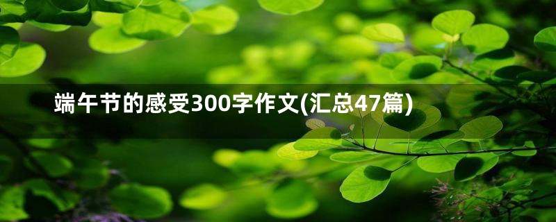 端午节的感受300字作文(汇总47篇)