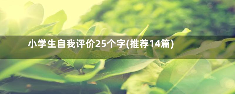 小学生自我评价25个字(推荐14篇)