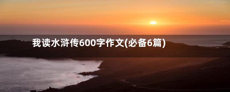 我读水浒传600字作文(必备6篇)