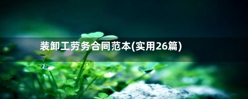 装卸工劳务合同范本(实用26篇)