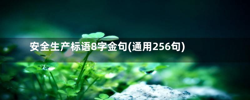 安全生产标语8字金句(通用256句)