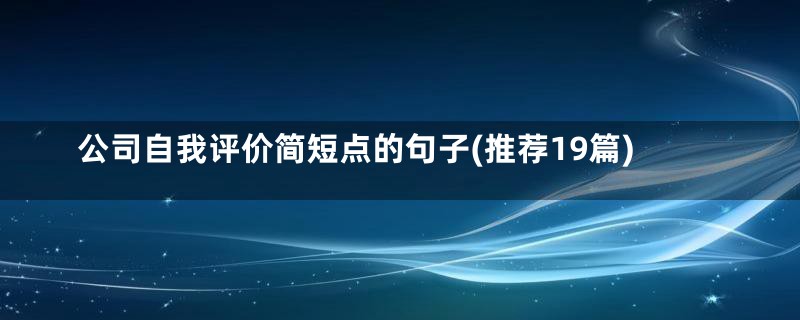 公司自我评价简短点的句子(推荐19篇)