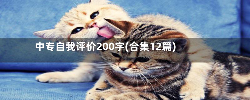 中专自我评价200字(合集12篇)