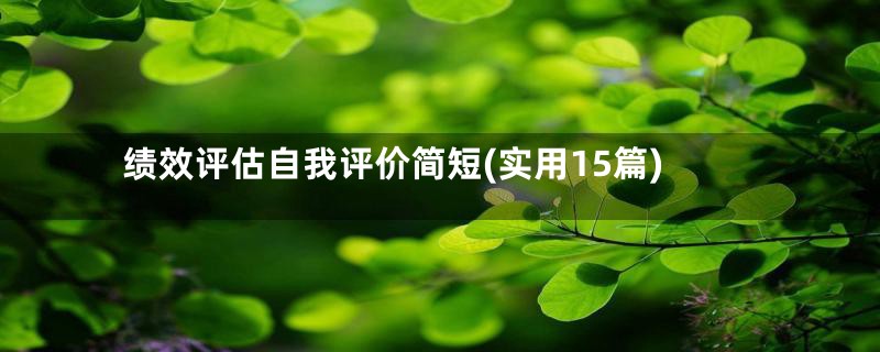 绩效评估自我评价简短(实用15篇)