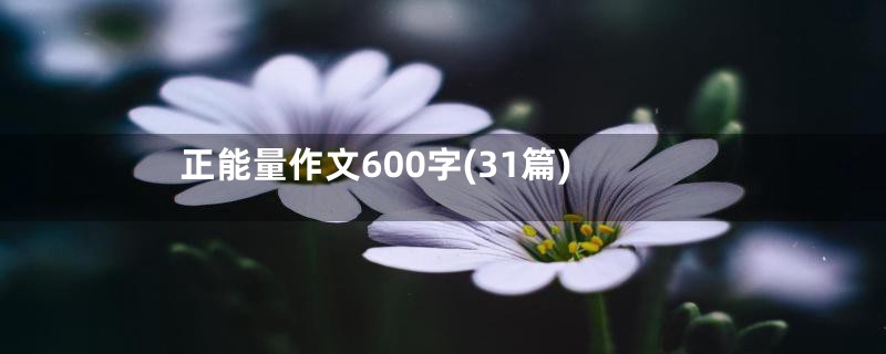 正能量作文600字(31篇)