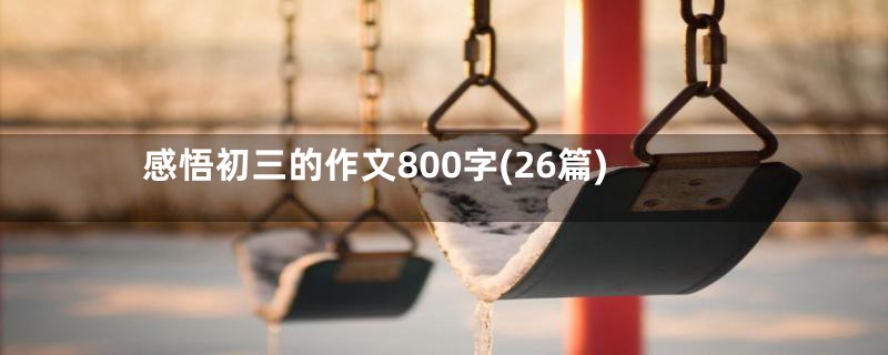 感悟初三的作文800字(26篇)