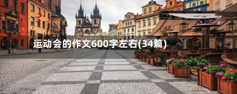 运动会的作文600字左右(34篇)