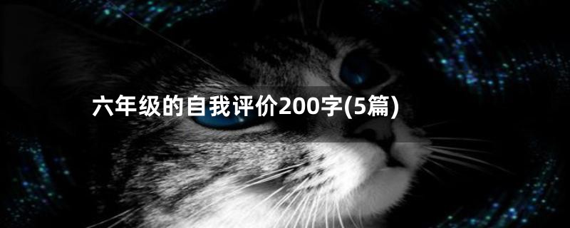 六年级的自我评价200字(5篇)