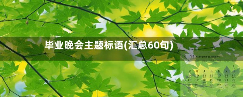 毕业晚会主题标语(汇总60句)