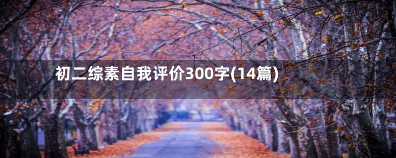 初二综素自我评价300字(14篇)