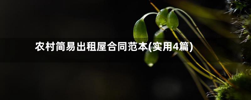 农村简易出租屋合同范本(实用4篇)