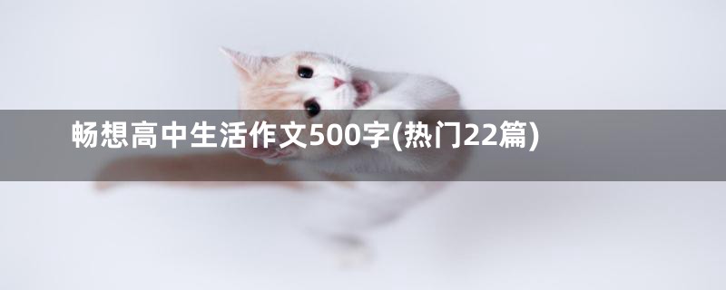 畅想高中生活作文500字(热门22篇)