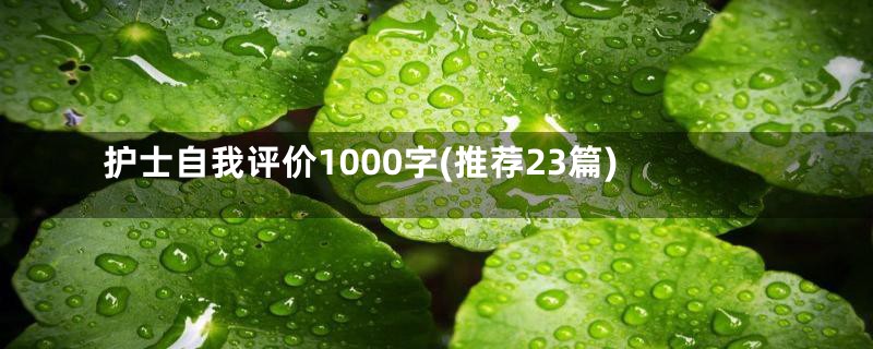 护士自我评价1000字(推荐23篇)