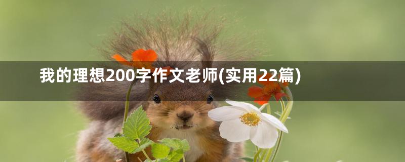 我的理想200字作文老师(实用22篇)