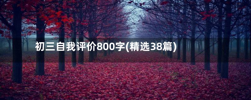 初三自我评价800字(精选38篇)